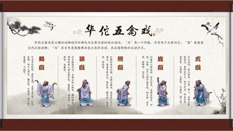成都中医康复医院收费标准解析：合理定价，服务至上